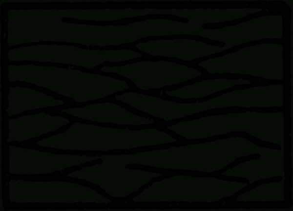 Schemes & Graphs - Fox Rockett Studio