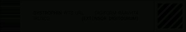 Label Vectors Vol.1 by Insomaniac - Fox Rockett Studio